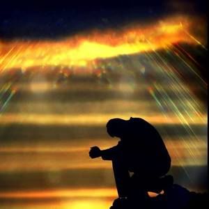 Meet your Posher, Hector